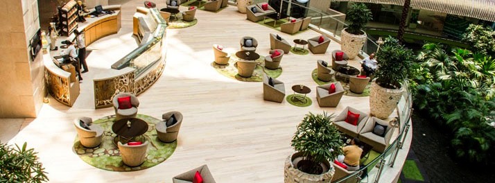 431/Radisson Blu Hotel Dwarka - New Delhi 10.jpg